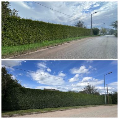Zwei Ansichten einer langen Hecke entlang einer Straße unter wechselndem Himmel.